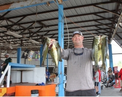 Click to view IMG_0571.JPG