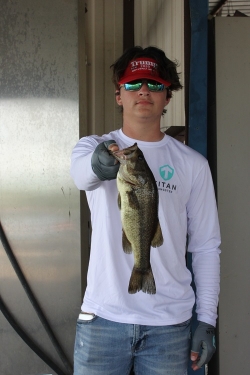 Click to view IMG_0612.JPG