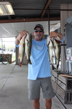 Click to view IMG_0613.JPG