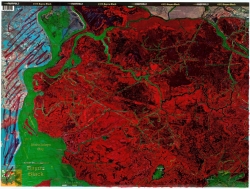 Click to view IMG_4616.JPG