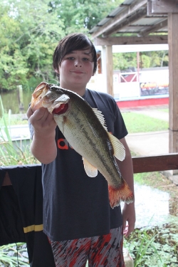 Click to view IMG_0717.JPG