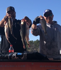 Click to view IMG_1008.jpg