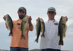 Click to view 89768406.jpg