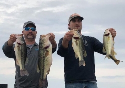 Click to view 89786184.jpg