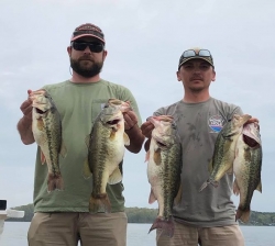 Click to view 89906098.jpg