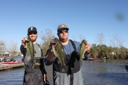 Click to view IMG_0475.JPG