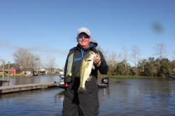 Click to view IMG_0480.JPG