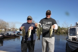 Click to view IMG_0484.JPG