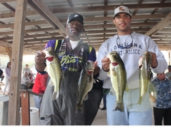 Click to view 11.JPG