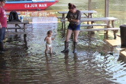 Click to view IMG_0591.JPG