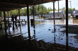 Click to view IMG_0592.JPG