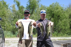 Click to view IMG_0594.JPG