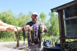 Click to view IMG_0603.JPG