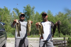 Click to view IMG_0607.JPG