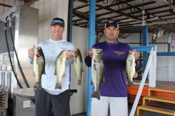 Click to view IMG_0655.JPG