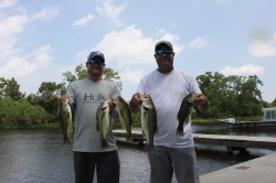 Click to view IMG_0691.JPG