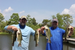 Click to view IMG_0694.JPG