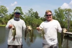 Click to view IMG_0695.JPG