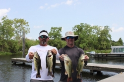 Click to view IMG_0696.JPG