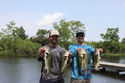 Click to view IMG_0697.JPG