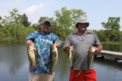 Click to view IMG_0698.JPG