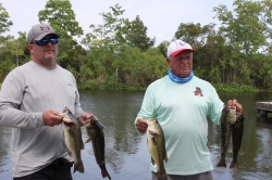 Click to view IMG_0700.JPG