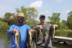 Click to view IMG_0702.JPG