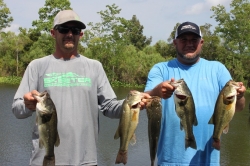 Click to view IMG_0703.JPG