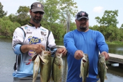 Click to view IMG_0706.JPG