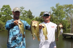 Click to view IMG_0709.JPG