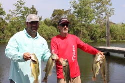 Click to view IMG_0710.JPG