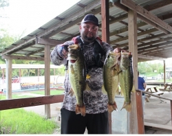 Click to view IMG_0742.JPG