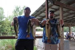 Click to view IMG_0747.JPG