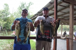 Click to view IMG_0754.JPG