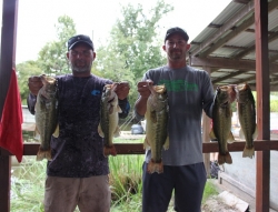 Click to view IMG_0755.JPG