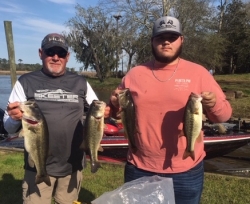 Click to view IMG_2231.JPG