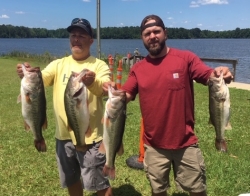 Click to view IMG_2377.JPG