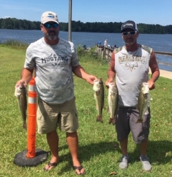 Click to view IMG_2381.JPG