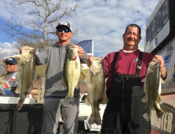 Click to view IMG_8788.JPG