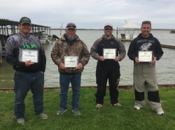 Click to view IMG_8917.JPG