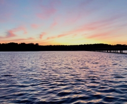 Click to view IMG_6670.jpg