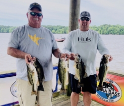 Click to view IMG_6681.jpg