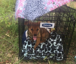 Click to view IMG_9157.JPG