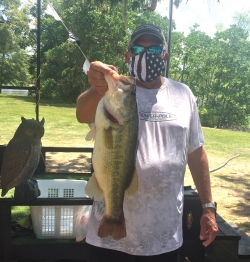 Click to view IMG_9232.JPG