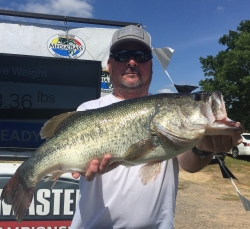 Click to view IMG_9071.JPG