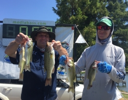 Click to view IMG_9300.JPG