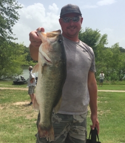 Click to view IMG_9217.JPG