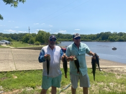 Click to view IMG_3124.JPG