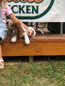 Click to view 124544955_3748520611859672_4682190859653521512_o.jpg