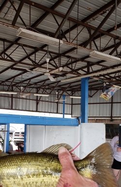 Click to view 20210321_151752.jpg